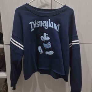 Disney navy and white logo pullover